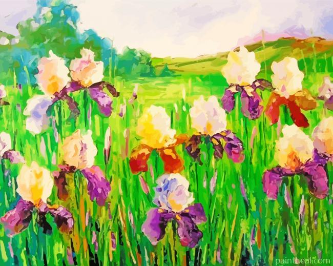 Abstract Iris Flower Field Painting By Numbers Kits