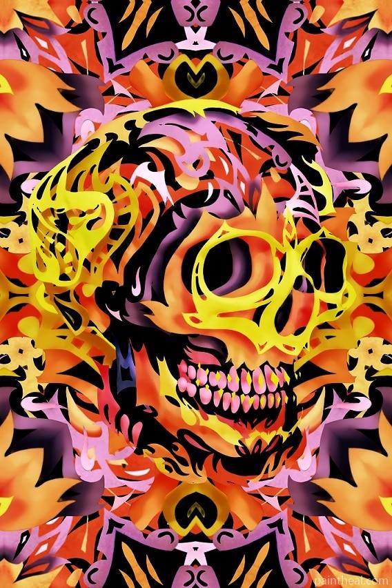 Bohemian Skull Abstract Painting By Numbers Kits