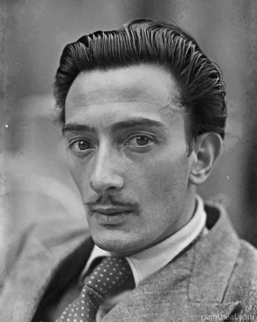 Young Salvador Dali Painting By Numbers Kits