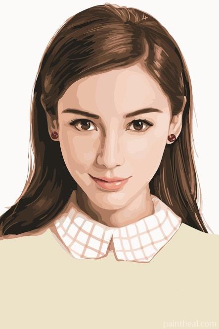 Angelababy Art Painting By Numbers Kits