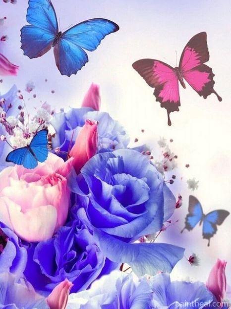 Flower and Butterfly Dream Flowers Painting By Numbers Kits