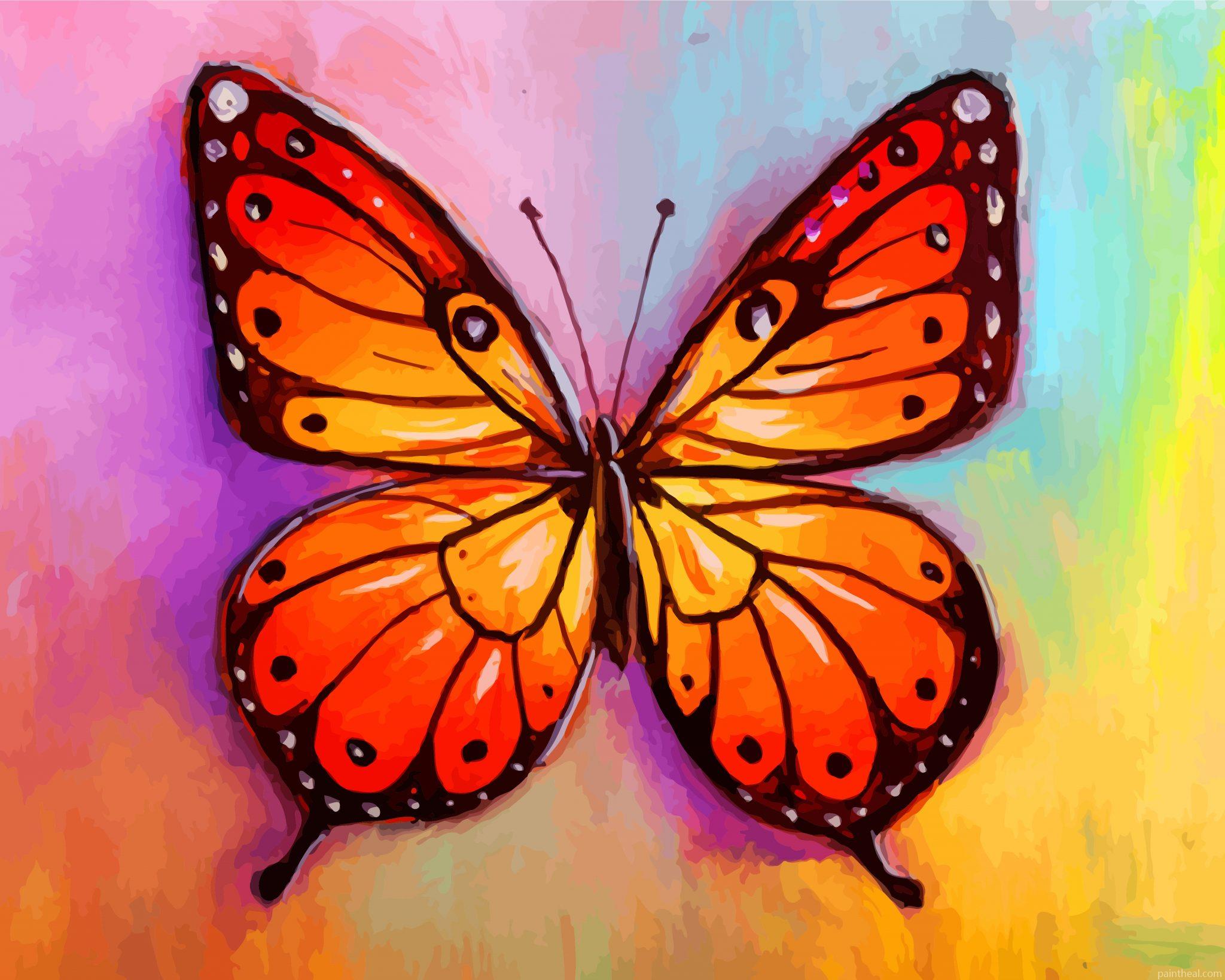 Monarch Butterfly Painting By Numbers Kits