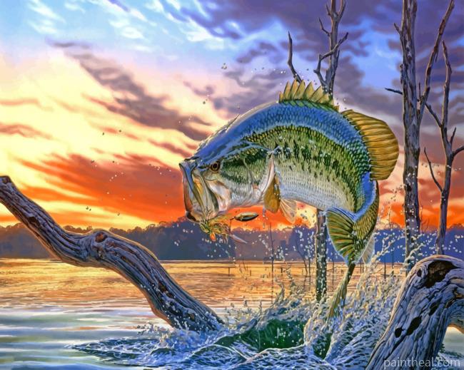 Bass Fish Painting By Numbers Kits