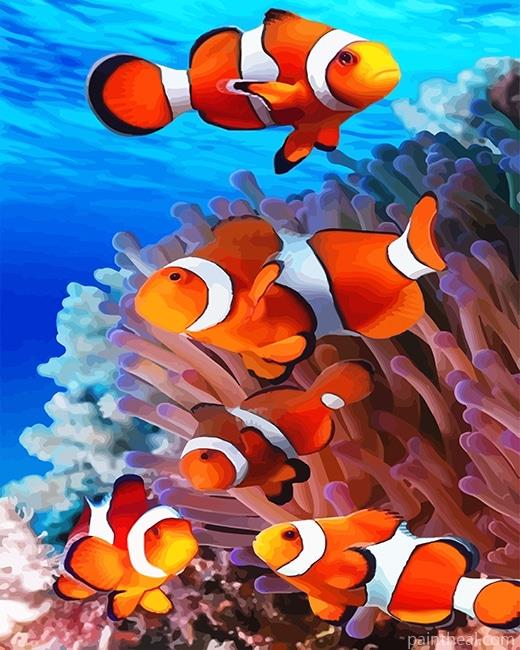 Colorful Clown fish NEW Painting By Numbers Kits