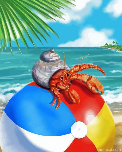 Hermit Crab On Ball Painting By Numbers Kits