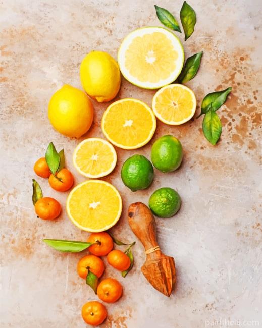 Orange Fruits NEW Painting By Numbers Kits