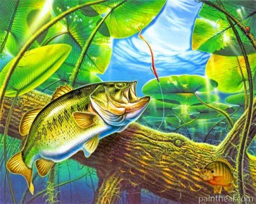 Largmouth Bass Painting By Numbers Kits