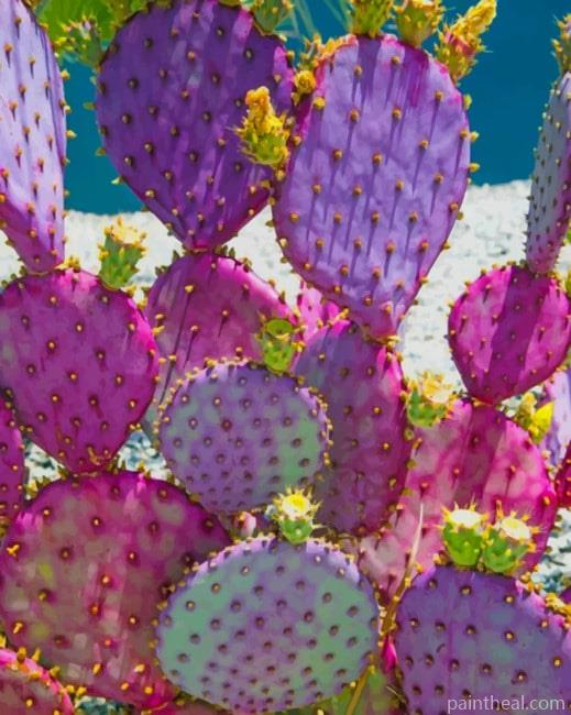 Purple Cactus NEW Painting By Numbers Kits