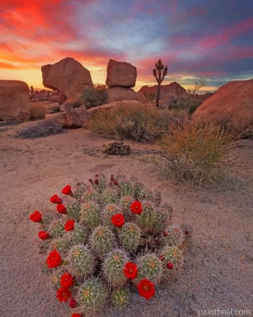 Aesthetic Cactus Plants NEW Painting By Numbers Kits