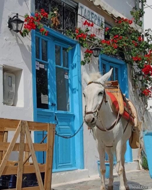White Donkey In Greece NEW Painting By Numbers Kits