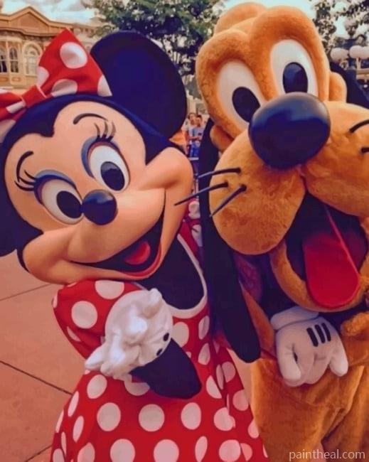 Minnie Mouse And Pluto NEW Painting By Numbers Kits