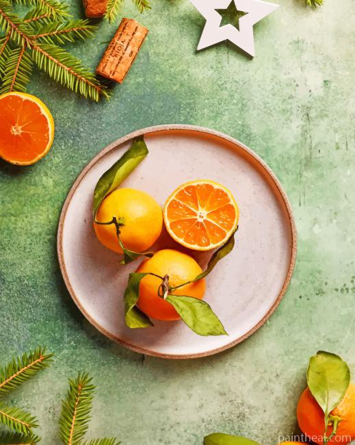Orange Fruit Photography NEW Painting By Numbers Kits