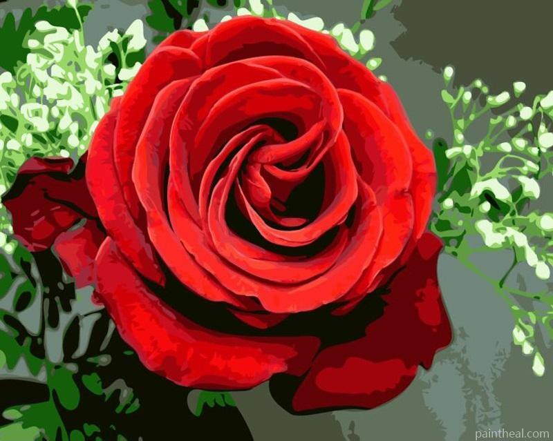 Romantic Rose DIY Painting By Numbers Kits