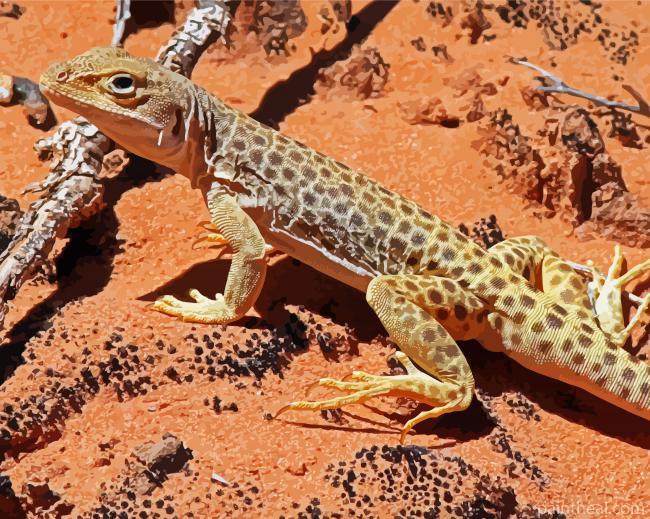 Desert Gecko Reptile Painting By Numbers Kits