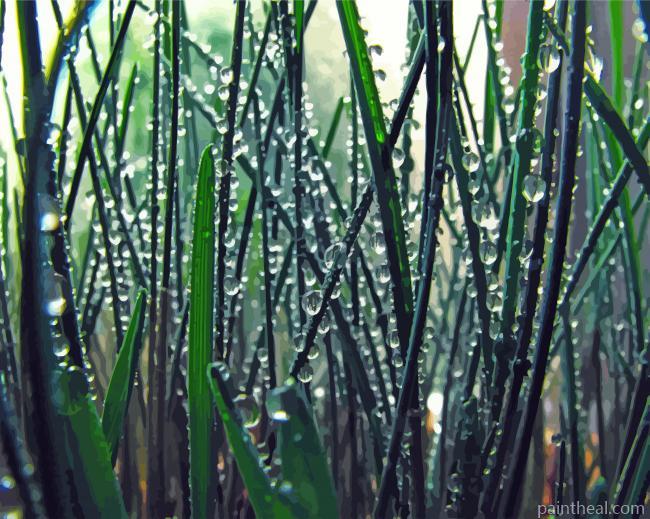 Wheatgrass In The Morning Painting By Numbers Kits