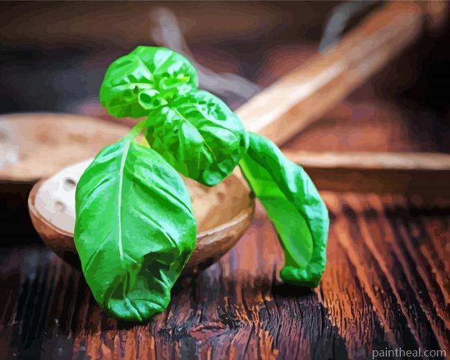 Basil Leaves On Wooden Spoon Painting By Numbers Kits