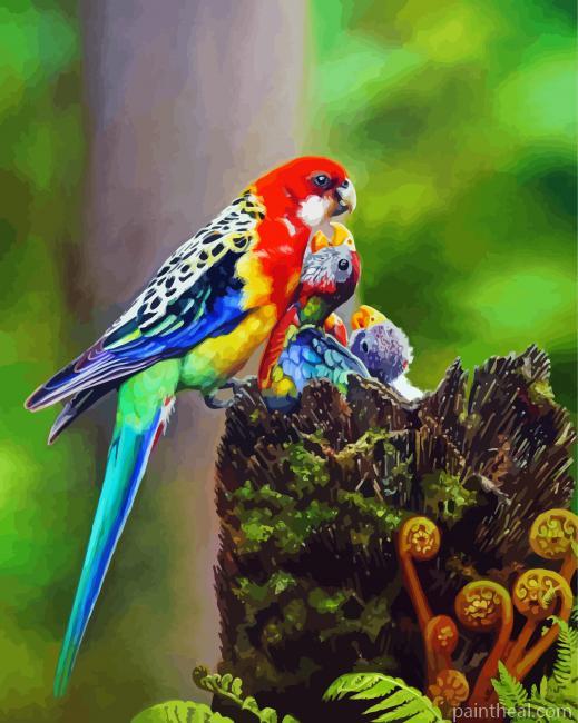 Aesthetic Rosellas Painting By Numbers Kits