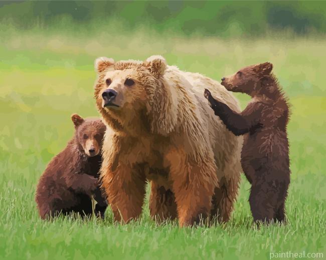 Three Bears Animals Painting By Numbers Kits