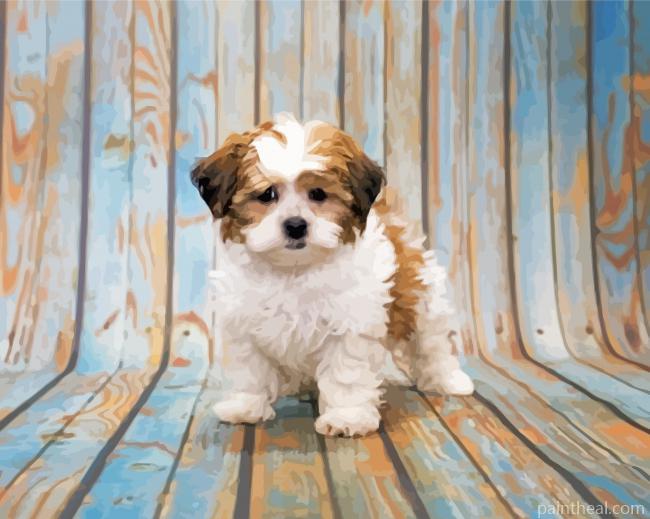 Shihpoo Dog Painting By Numbers Kits