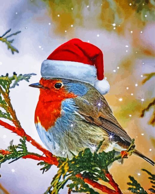 Christmas Robin Bird Painting By Numbers Kits