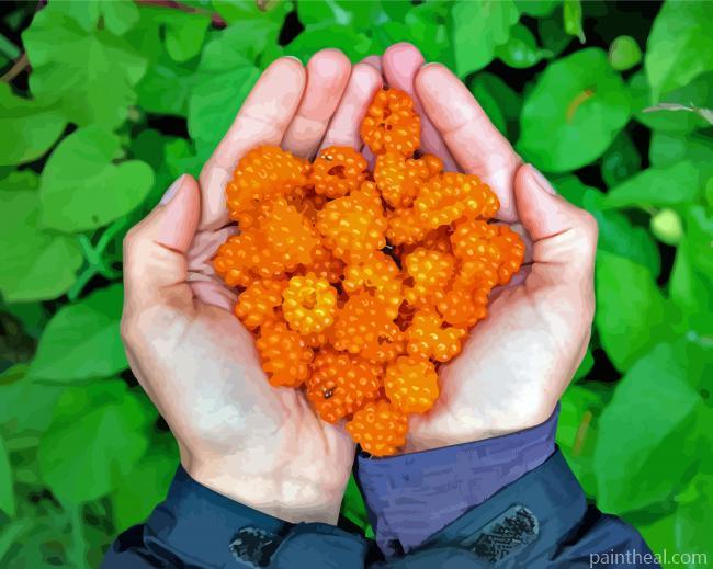 Salmonberry On Hand Painting By Numbers Kits