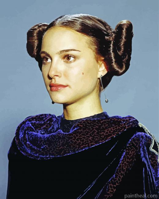 Padme Amidala Painting By Numbers Kits