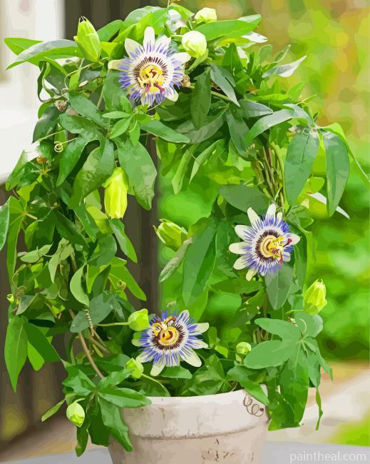 Passionflower Plant Pot Painting By Numbers Kits