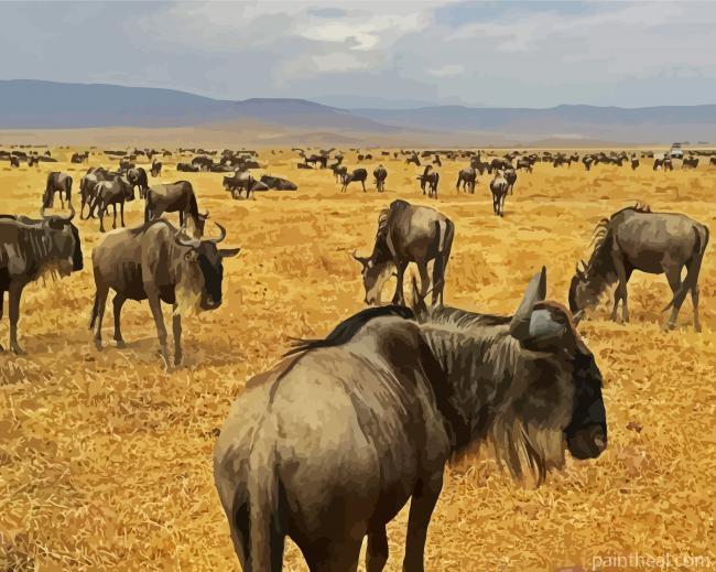 Wildebeest Animals Painting By Numbers Kits