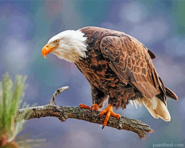Eagle Bird On A Branch Painting By Numbers Kits