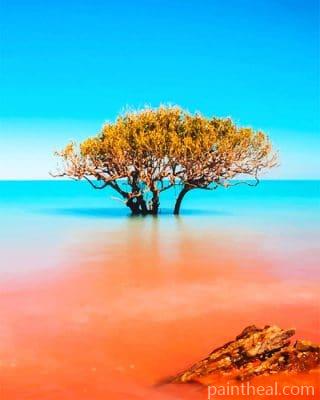 Kimberley Broome Australia NEW Painting By Numbers Kits