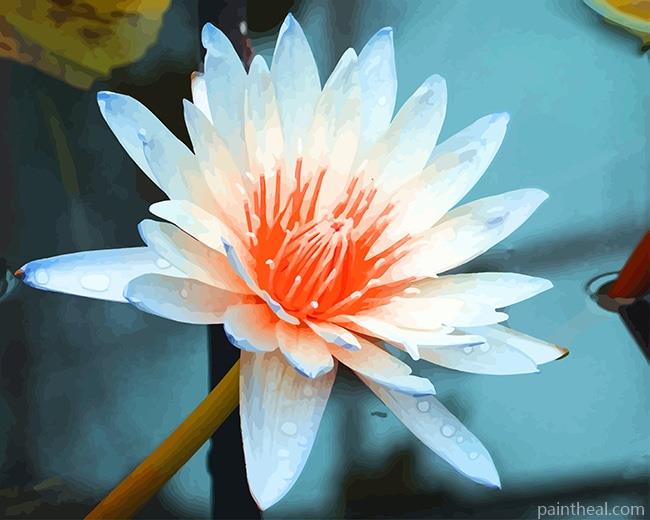 Aquatic Plant NEW Painting By Numbers Kits