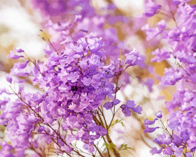 Close Up Jacaranda Tree Painting By Numbers Kits