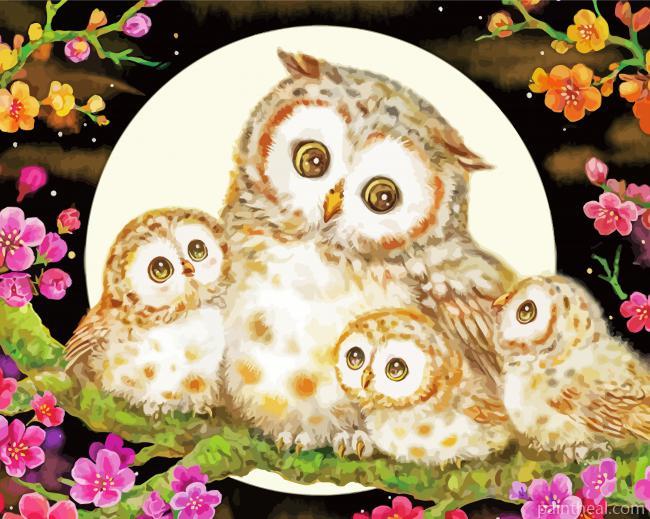 Owls With Flowers Painting By Numbers Kits