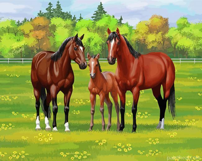 Bay Horses Painting By Numbers Kits