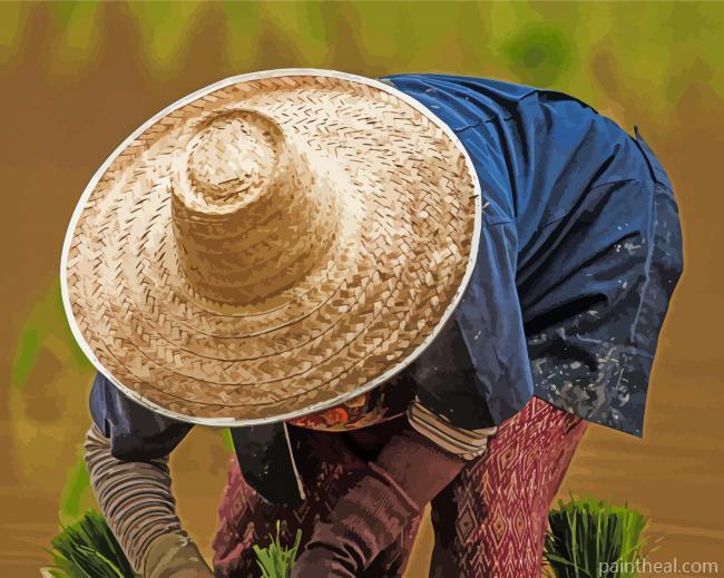 Rice Hat Painting By Numbers Kits