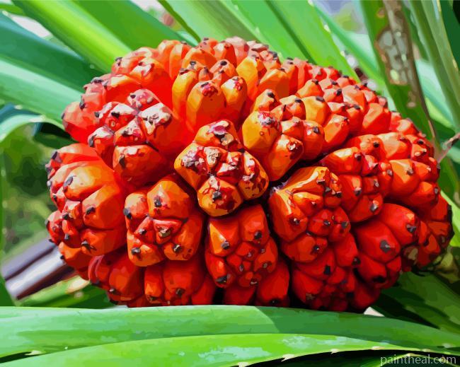 Pandanus Fruit Painting By Numbers Kits