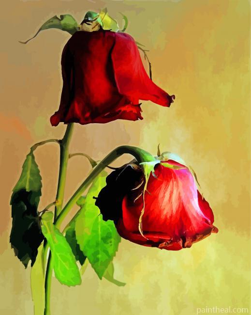 Red Dying Rose Painting By Numbers Kits