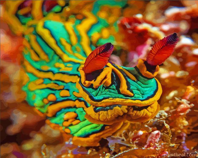 Close Up Sea Slug Painting By Numbers Kits