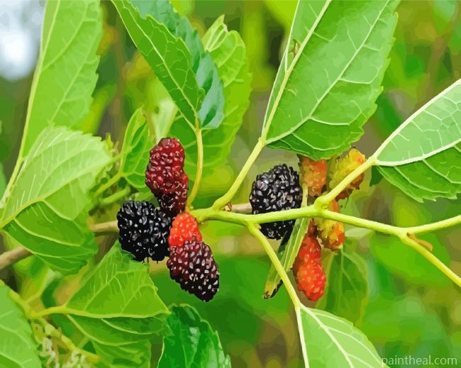 Mulberry Plant Painting By Numbers Kits