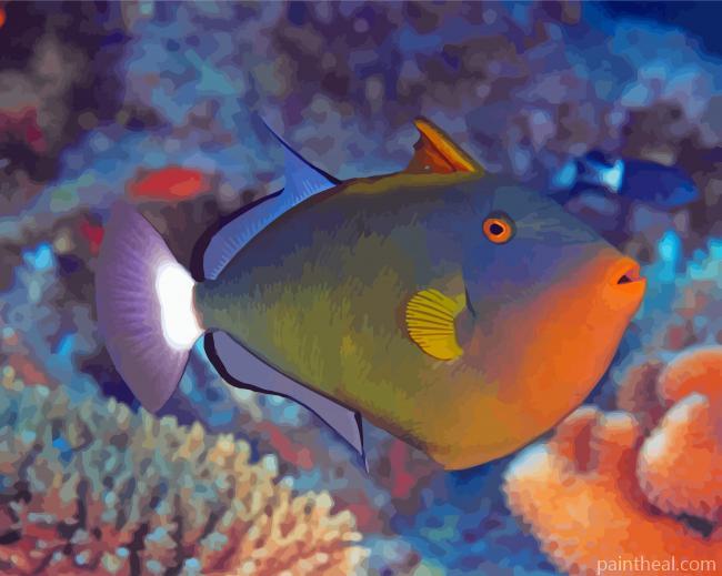 Pinktail Triggerfish Painting By Numbers Kits