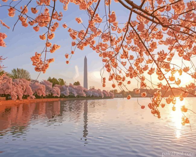 Cherry Blossoms Washington DC Painting By Numbers Kits