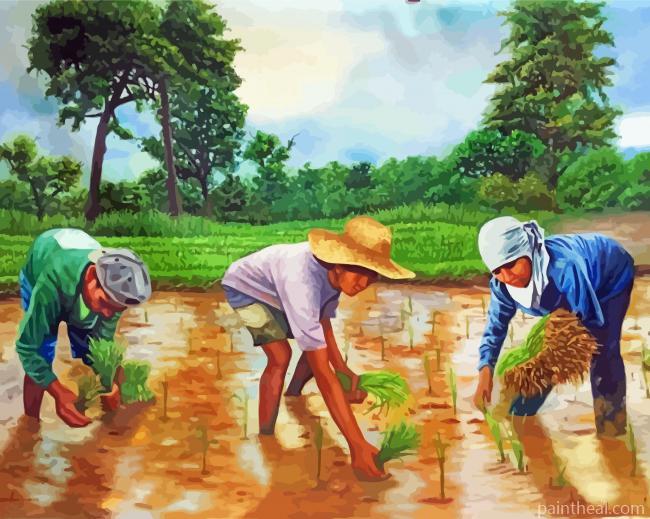 Ice Planting By Boys Painting By Numbers Kits