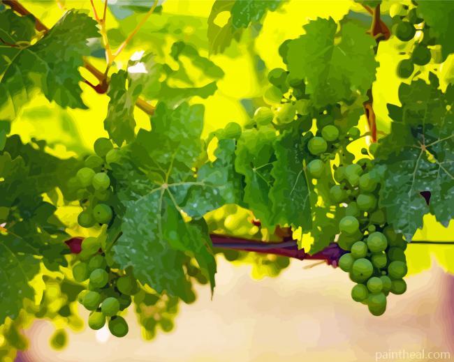 Green Grape Vines Painting By Numbers Kits