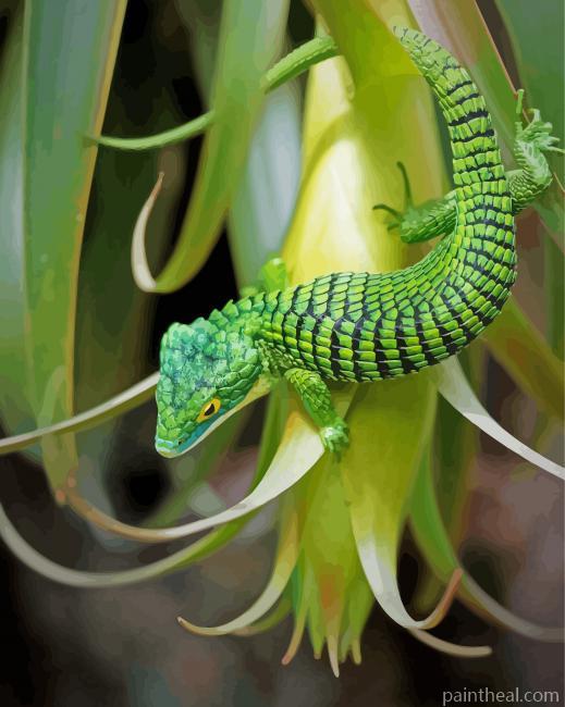 Green Abronia Graminea Painting By Numbers Kits