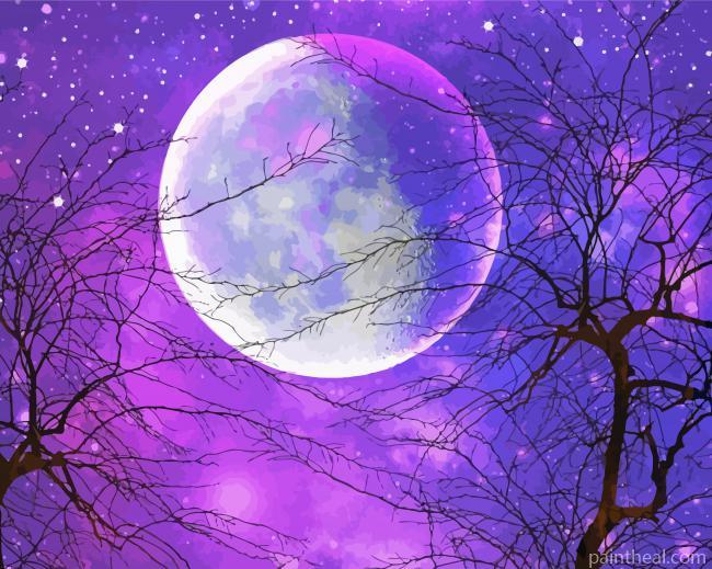 Galaxy Purple Moon Painting By Numbers Kits