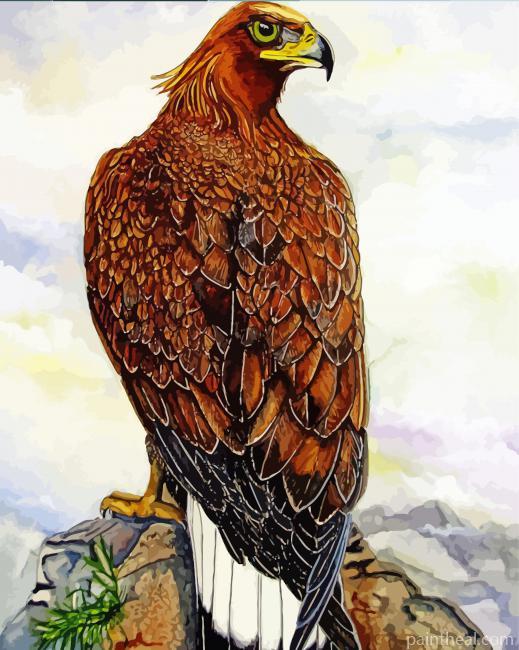 Harris Hawk Bird Art Painting By Numbers Kits