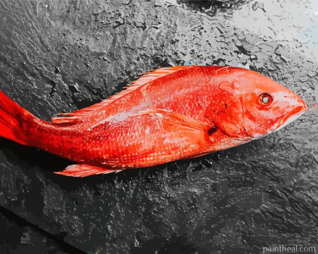 Redfish Animal Painting By Numbers Kits