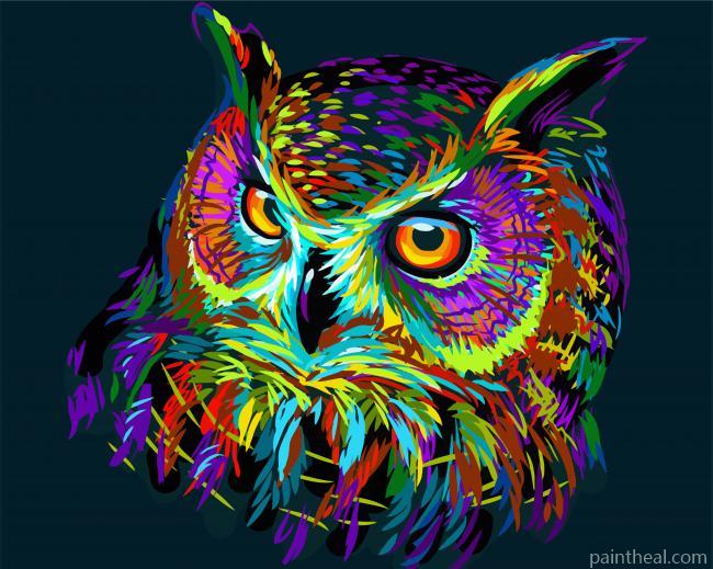 Colorful Abstract Owl Painting By Numbers Kits