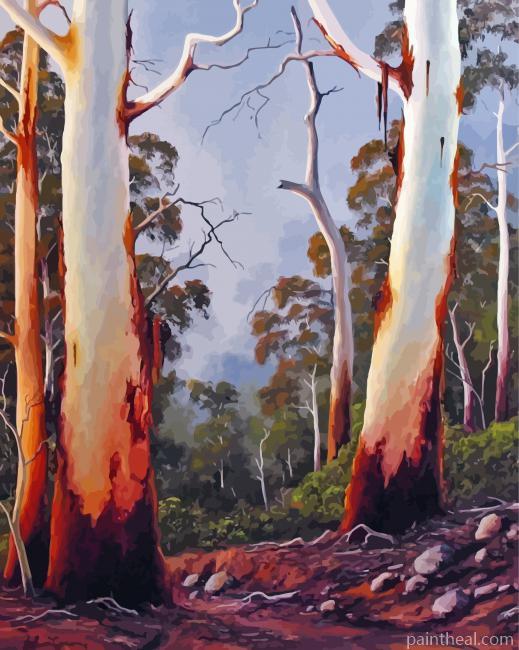 Gumtrees Art Painting By Numbers Kits