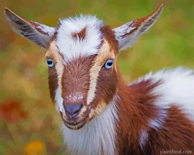 Adorable Nigerian Dwarf Goat Painting By Numbers Kits